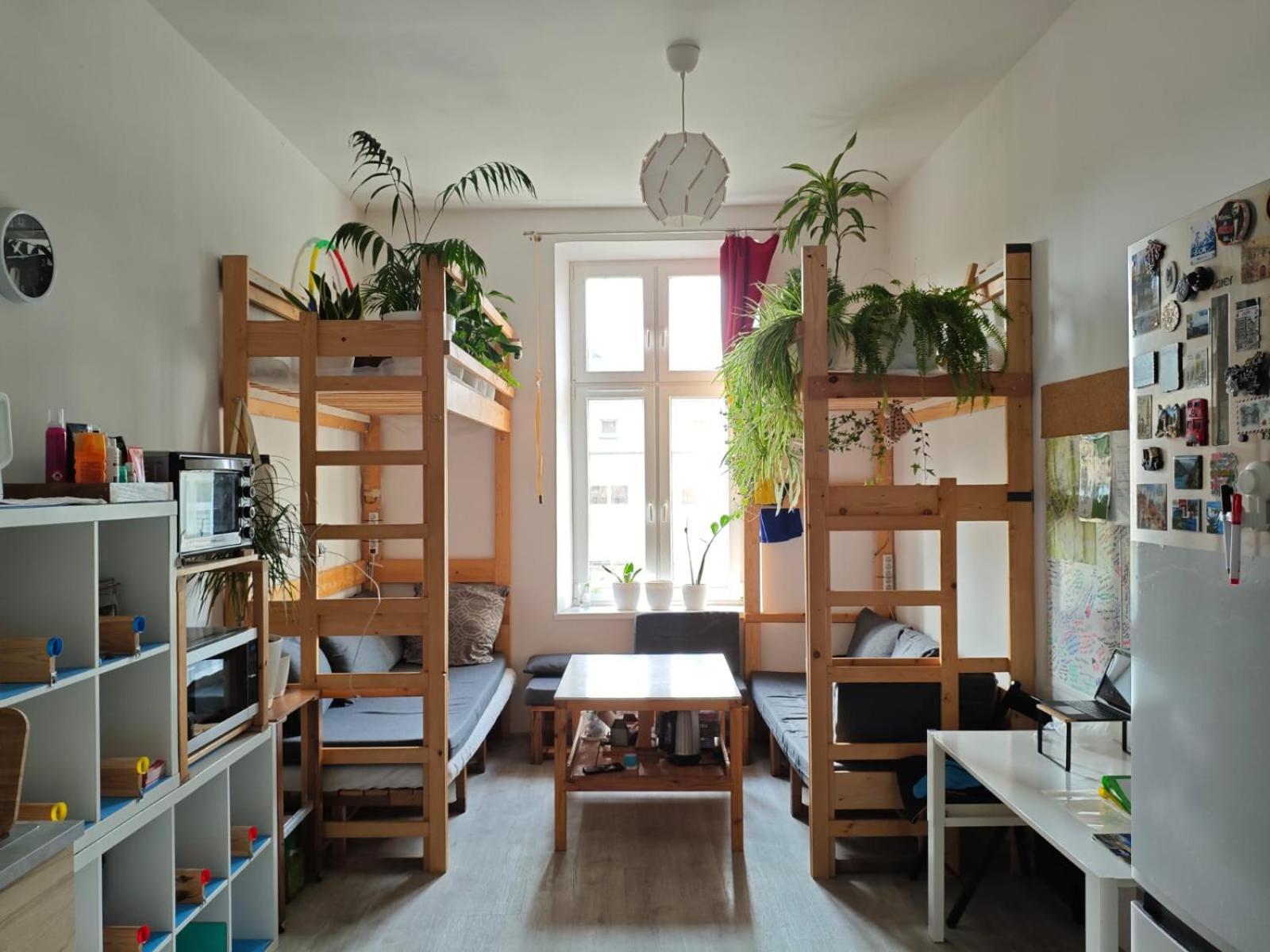 Evergreen Hostel Krakau Exterior foto