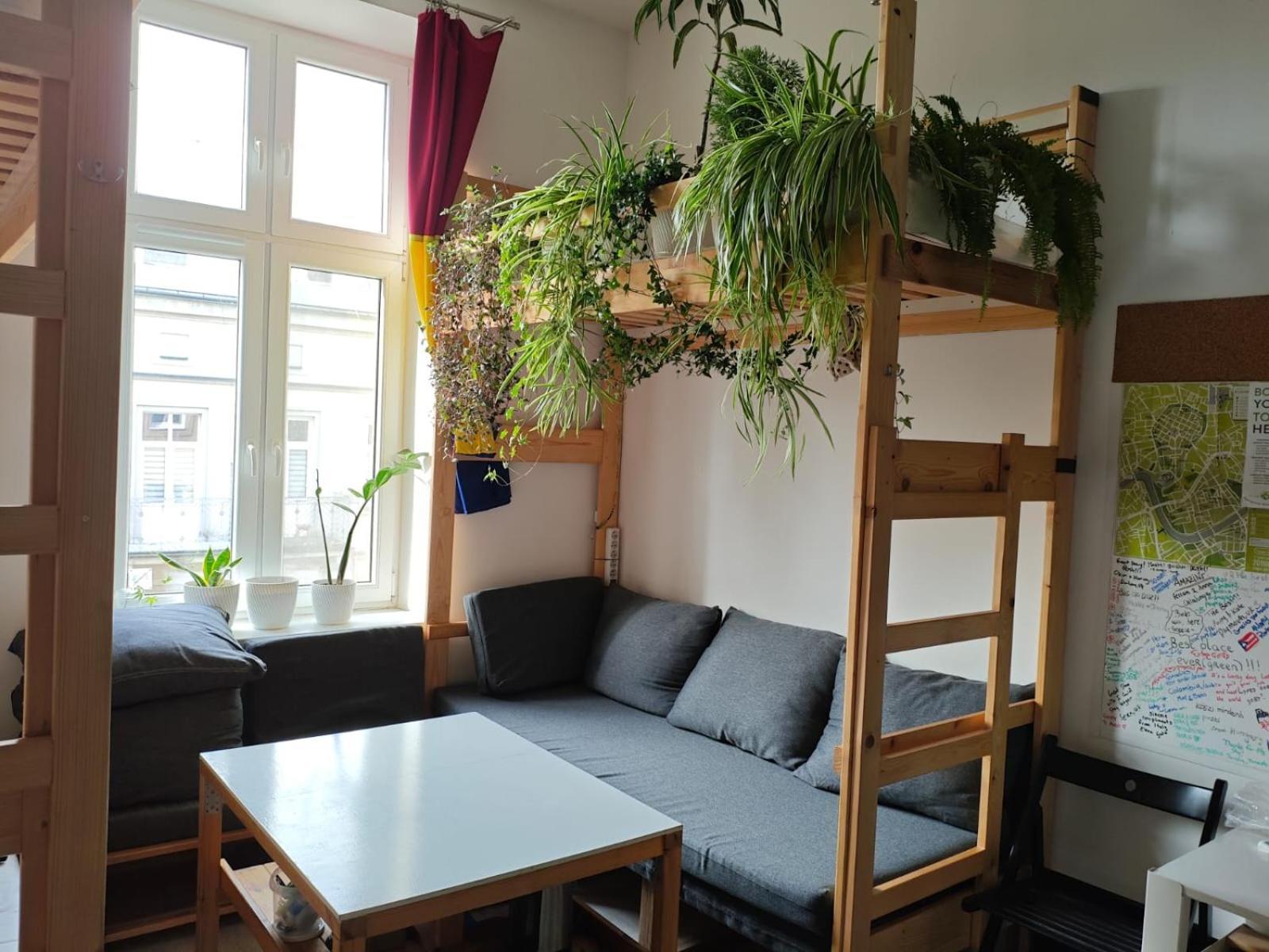 Evergreen Hostel Krakau Exterior foto